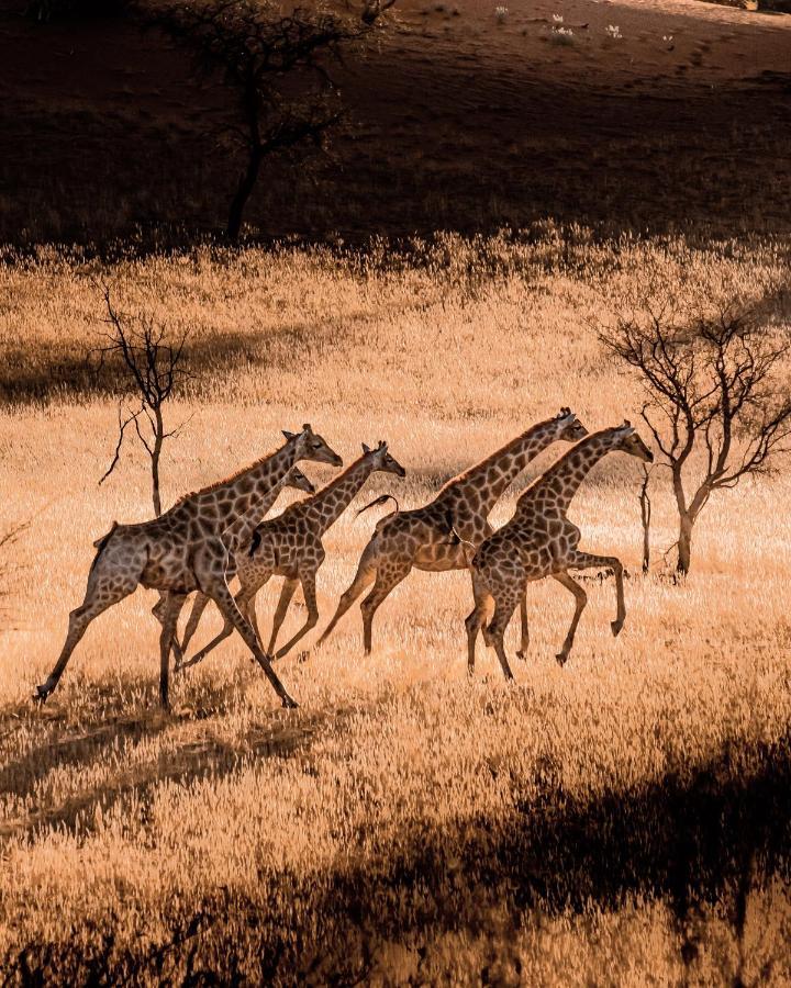 Bagatelle Kalahari Game Ranch Villa Hardap Kültér fotó