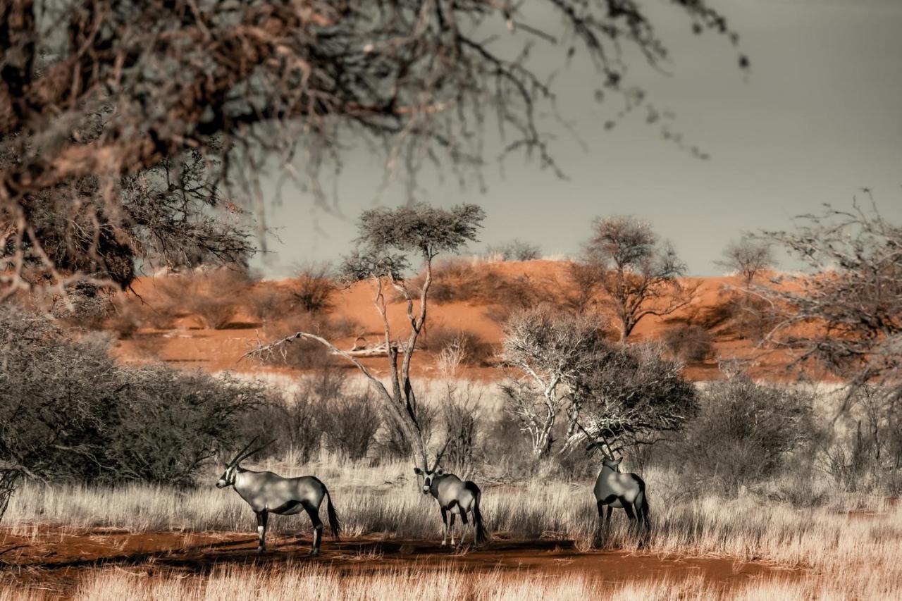 Bagatelle Kalahari Game Ranch Villa Hardap Kültér fotó