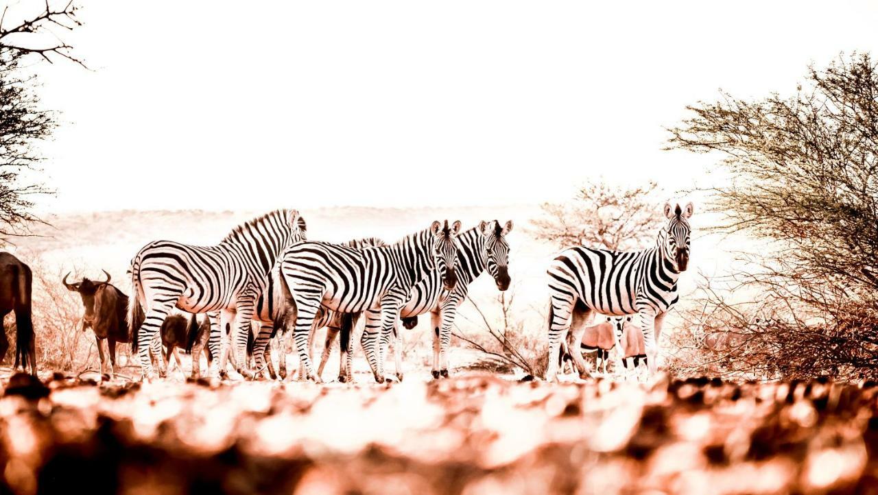Bagatelle Kalahari Game Ranch Villa Hardap Kültér fotó