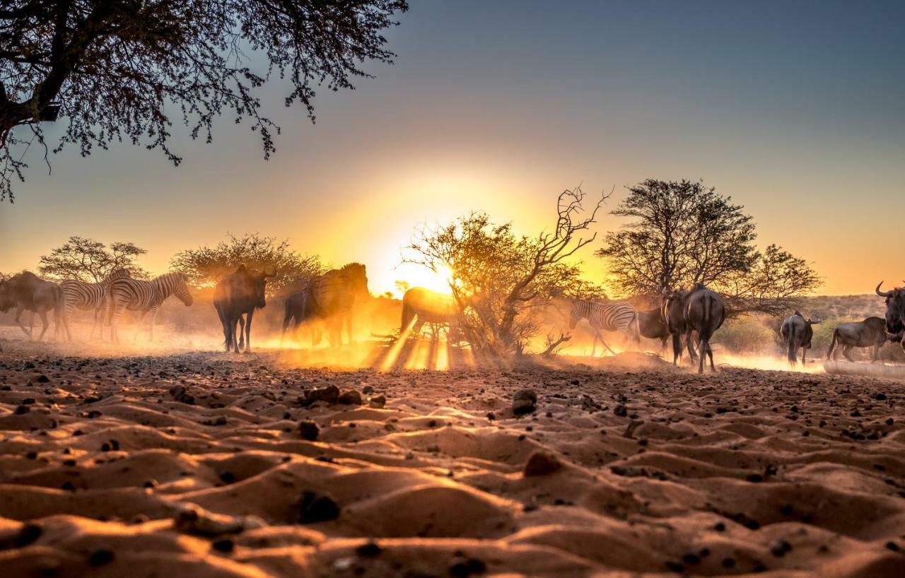 Bagatelle Kalahari Game Ranch Villa Hardap Kültér fotó
