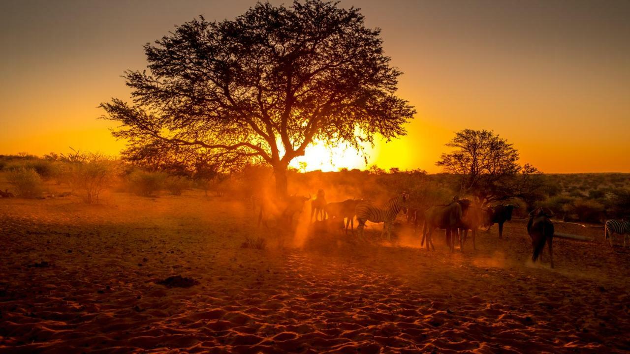 Bagatelle Kalahari Game Ranch Villa Hardap Kültér fotó