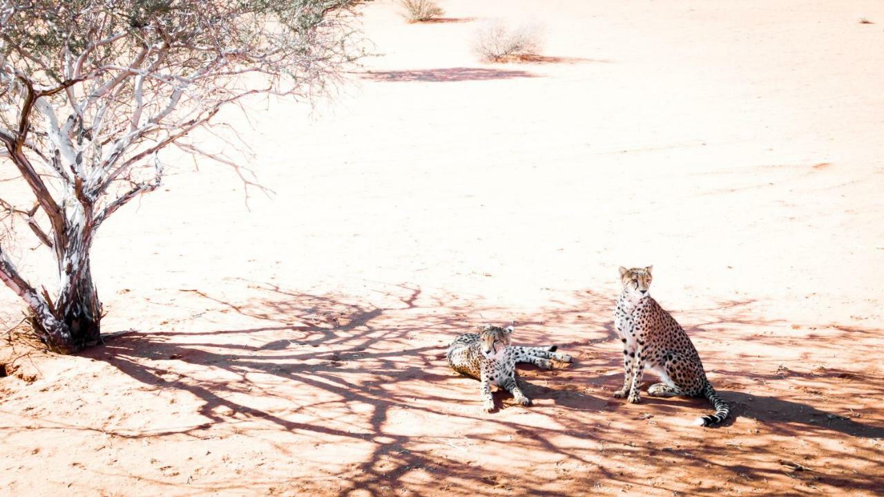 Bagatelle Kalahari Game Ranch Villa Hardap Kültér fotó